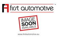 1afirstautomotive a63620