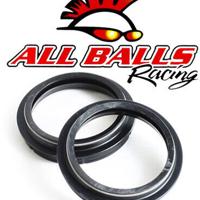 all balls racing 57105