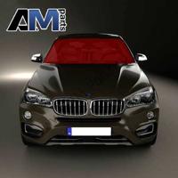 bmw 51317316794