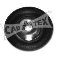 cautex 480540