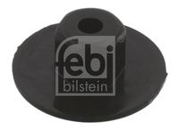 febibilstein 36452