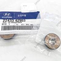 hyundai / kia 2243342903