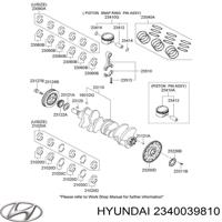 hyundai / kia 2340039810