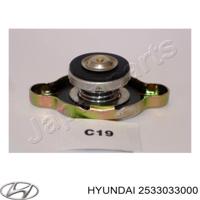 hyundai / kia 253303