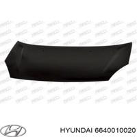 Деталь hyundaikia 6640010020