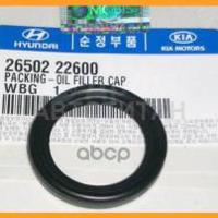 hyundai/kia 2650222600