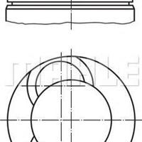 Деталь mahleknecht 213