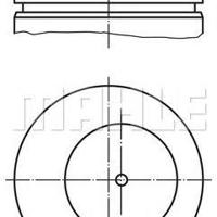 mahle 0090700