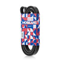 mobiland 501262103