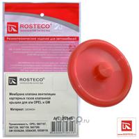 rosteco 20546