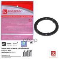 rosteco 21187