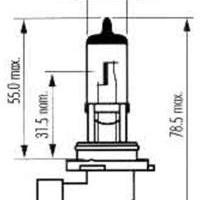 sct 202594