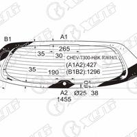 xyg chevt300hbkrwhx